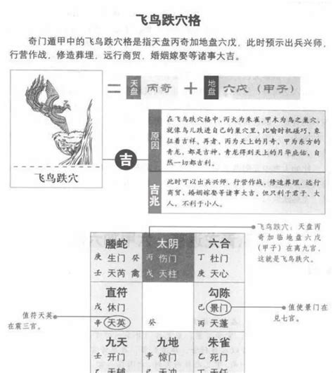 飛鳥跌穴|奇門遁甲～飛鳥跌穴和青龍返首